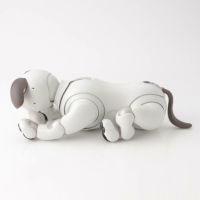 ソニー SONY アイボ aibo 犬型 バーチャル ペット ロボット ERS-1000