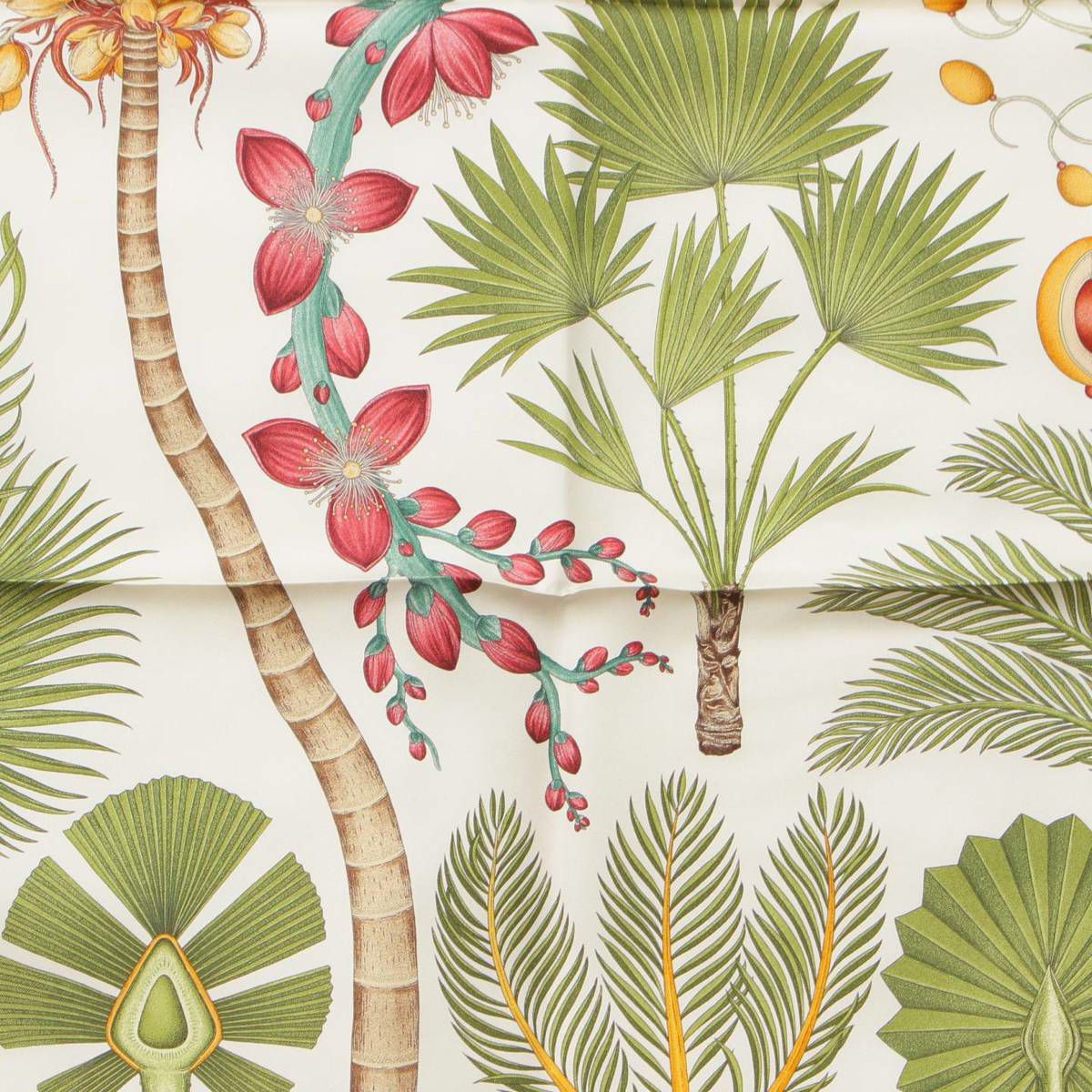 エルメス Hermes カレ90 シルク スカーフ INDEX PALMARUM ヤシの目録