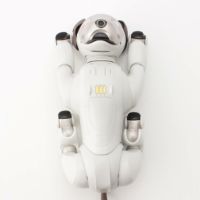 ソニー SONY aibo アイボ 犬型 バーチャル ペット ロボット ERS-1000
