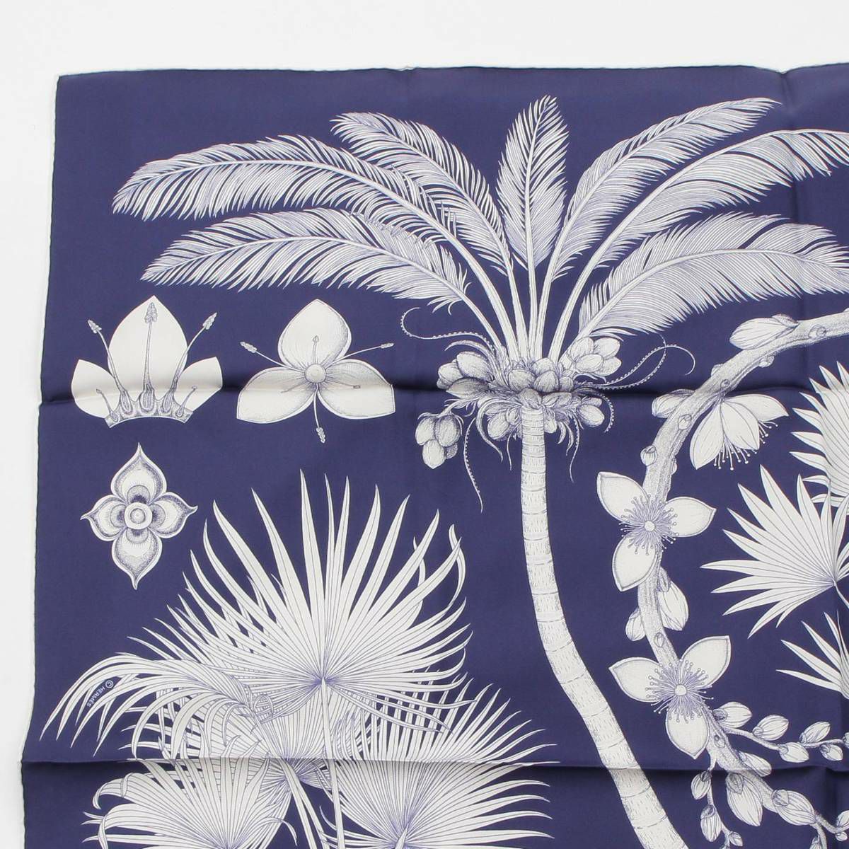 エルメス カレ90 シルクスカーフ INDEX PALMARUM ヤシの目録 植物 ヤシ