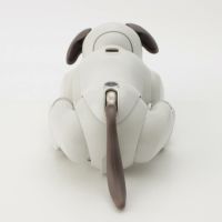 ソニー アイボ aibo 犬 ペットロボット ERS-1000 ホワイト【中古】 ソニー アイボ aibo 犬 ペットロボット ERS-1000 ホワイト【中古
