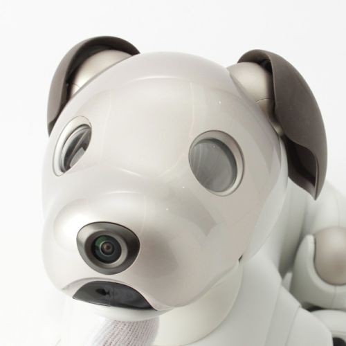 ソニー アイボ aibo 犬 ペットロボット 家電 ERS-1000 ホワイト