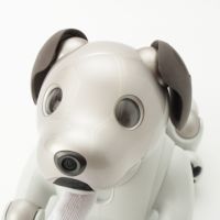 アイボ aibo ERS-1000 ホワイト★SONY【中古】 ソニー アイボ aibo 犬 ペットロボット 家電 ERS-1000 ホワイト