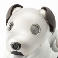 ソニー アイボ aibo 犬 ペットロボット 家電 ERS-1000