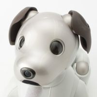 ソニー aibo アイボ 家電 ERS-1000 ベーシックホワイト ソニー aibo アイボ 犬 ドッグ ペットロボ 家電 ERS-1000