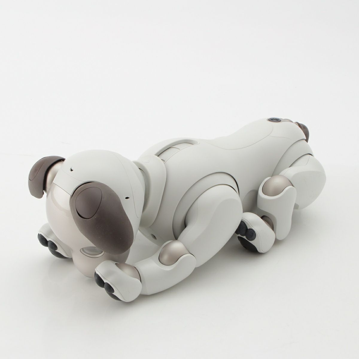 ソニー アイボ aibo 犬 ペットロボット 家電 ERS-1000 ホワイト