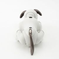 SONY AIBO ERS-1000 バーチャルペット 犬型 アイボリーホワイト 楽天市場】【ソニー】SONY 犬型 バーチャルペット ロボット aibo